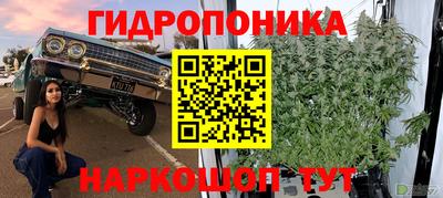 сатива Бугуруслан